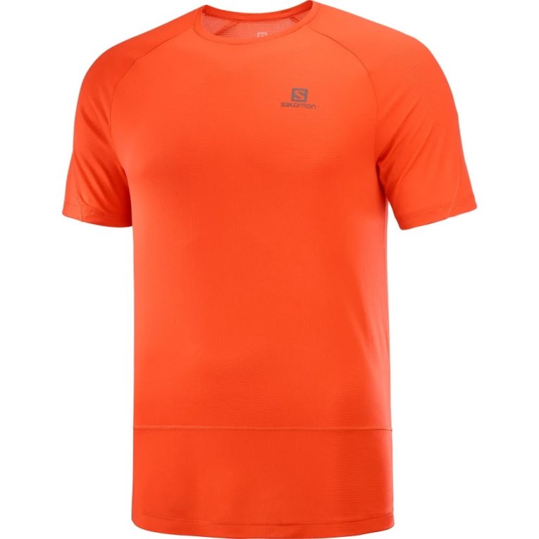 Orange Salomon Cross Run Short Sleeve Men's T-Shirts | IE PR3756